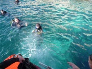 Click for a larger photo